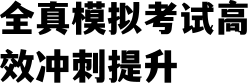 全真模拟考试高效冲刺提升